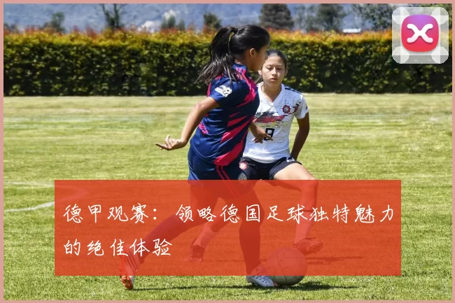 德甲观赛：领略德国足球独特魅力的绝佳体验