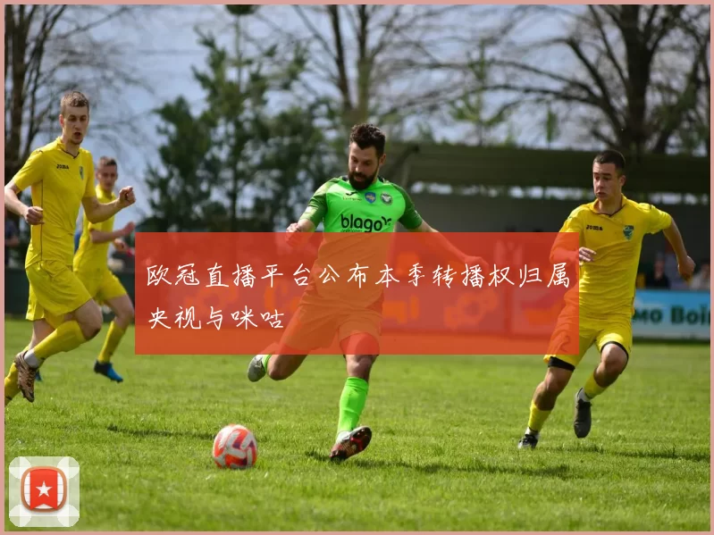 欧冠直播平台公布本季转播权归属央视与咪咕