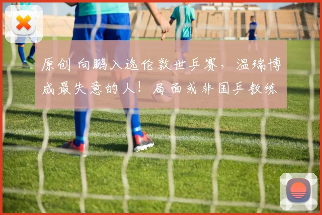 原创 向鹏入选伦敦世乒赛，温瑞博成最失意的人！局面或非国乒教练组所愿