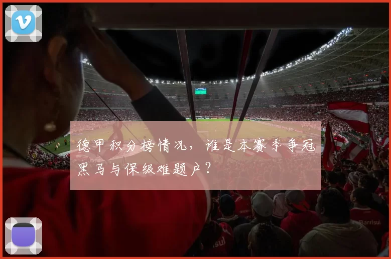 德甲积分榜情况,谁是本赛季争冠黑马与保级难题户?